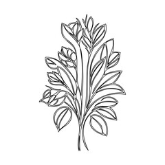 Stylized Floral Bouquet Outline on White Backdrop