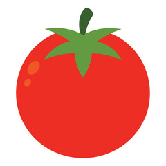 Tomato vector icon isolated on white background