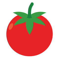 Tomato vector icon isolated on white background