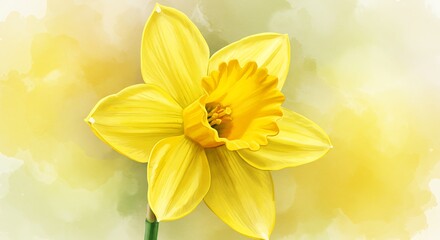 Fototapeta premium Golden Hour Bloom AI Generated