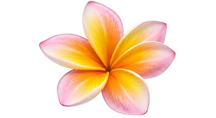Naklejka premium Petal Hues AI Generated