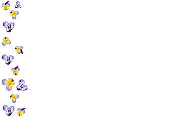 Barra lateral de flores pensamientos