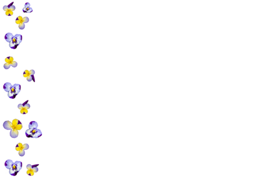 Barra lateral de flores pensamientos