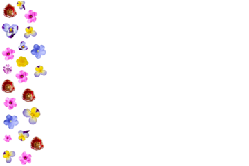 Barra lateral de flores variadas