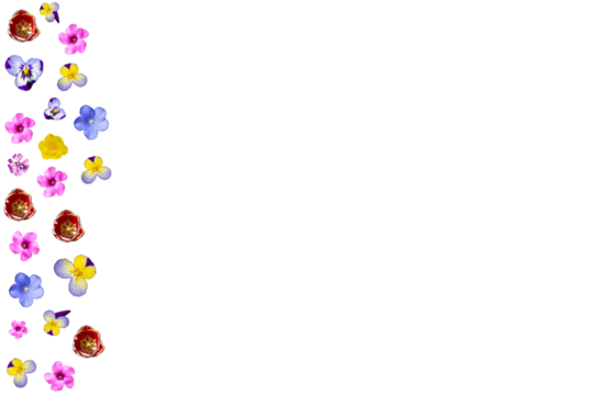 Barra lateral de flores variadas