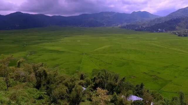 Aerial view of Lodok or spider web rice fields in Cancar village, Ruteng, Manggarai, East Nusa Tenggara, Indonesia. showcasing traditional land division system in geometric patterns.