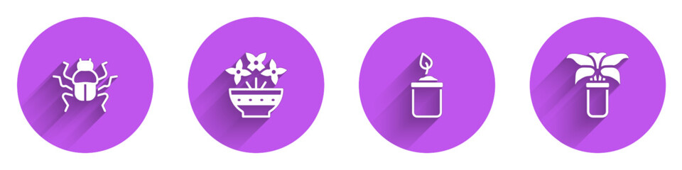 Set Beetle bug, Flower in vase, Sprout bottle and Exotic tropical plant pot icon with long shadow. Vector