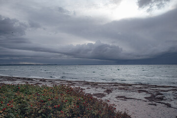 Stormy clouds and sunset paint the seascape over the horizon where waves meet the coast