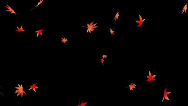 水彩風のもみじの葉っぱが舞うアニメーション素材_4K背景透過
