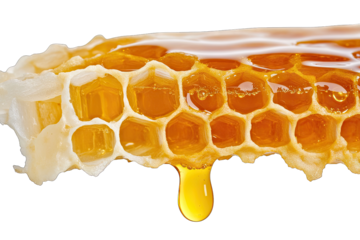 close-up honeycomb with golden honey dripping from it highlighting the natural process of honey production by bees the texture and color emphasize its organic appeal