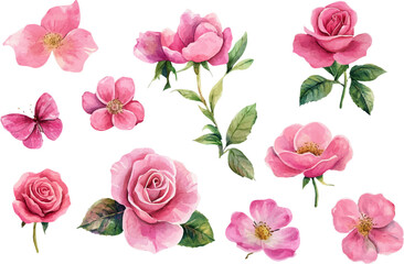 Watercolor Pink Rose Flower Clipart