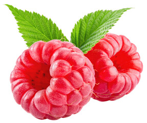 Raspberry isolated png. Raspberry with leaves on transparent background. Whole two raspberries no background. Transparent png. Full depth of field.