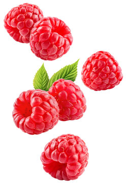 Raspberry isolated png. Raspberries with leaf flying on transparent background. Raspberry fall. Falling berries no background. Vertical composition. Full depth of field. Transparent png.
