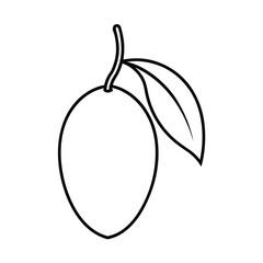 neem fruit line art vector illustration