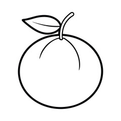 mandarins fruit line art vector illustration