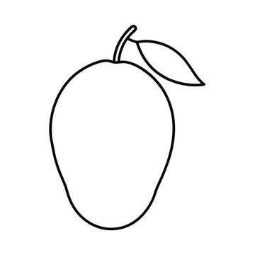 recommend clip art: mango fruit line art vector illustration