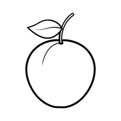 loquat fruit line art vector illustration