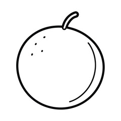 longan fruit line art vector illustration 