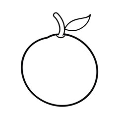 lanzones fruit line art vector illustration