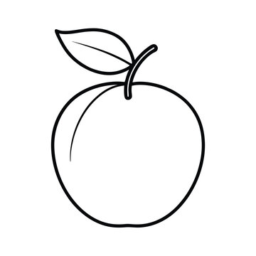 java plum fruit line art vector illustration