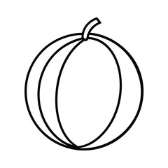 honeydew fruit line art vector illustration