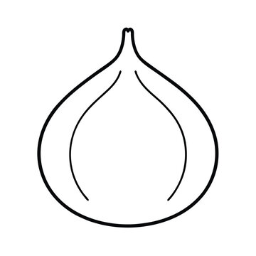 recommend clip art: fig fruit line art vector illustration
