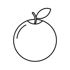 cranberry fruit line art vector illustration