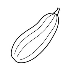 African cucumber fruit line art vector illustration