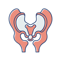  Acetabulum Anatomy Icon Design