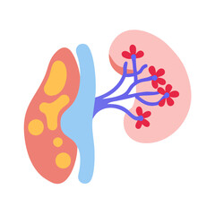  Modern Adrenal Gland Anatomy Icon