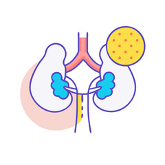  Stylish Adrenal Gland Anatomy Icon