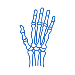  Distinct Carpal Bones Anatomy Icon
