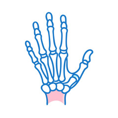  Carpal Bones Joint Anatomy Icon