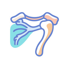  Creative Clavicle Anatomy Icon