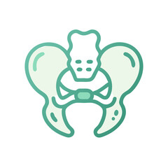  Distinct Coccyx Anatomy Icon