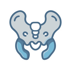  Unique Coccyx Anatomy Icon