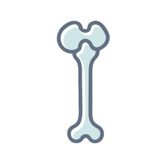  Modern Femur Anatomy Icon