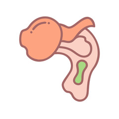  Creative Greater Tubercle Anatomy Icon