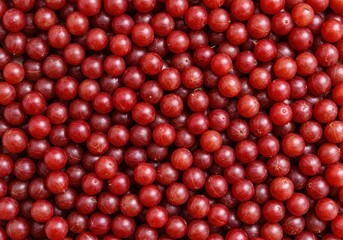 Vibrant red gooseberries create an abundant fruit background