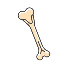  Unique Humerus Anatomy Icon