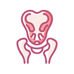  Modern Ilium Anatomy Icon
