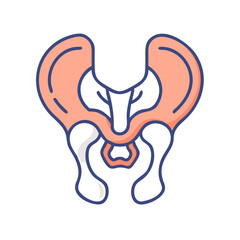  Ilium Bone Anatomy Icon