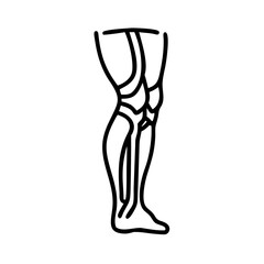  Modern Leg Anatomy Icon