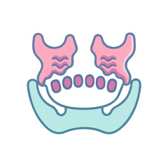  Maxilla Bone Anatomy Icon © Xihan