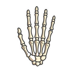  Stylish Metacarpal Bones Anatomy Icon