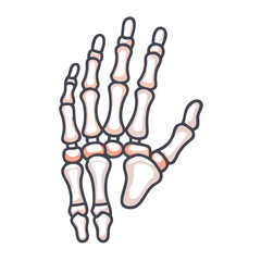  Metacarpals Anatomy Icon Design