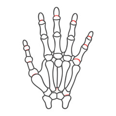  Modern Metacarpals Anatomy Icon