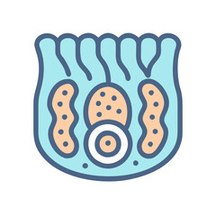  Creative Microvilli Anatomy Icon