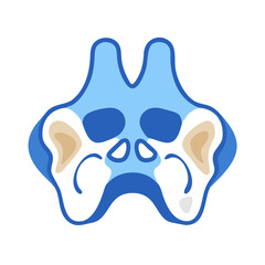  Modern Nasal Bones Anatomy Icon