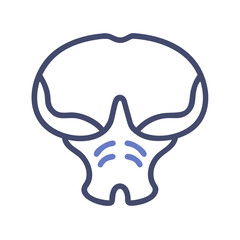  Occipital Bone Anatomy Icon Design